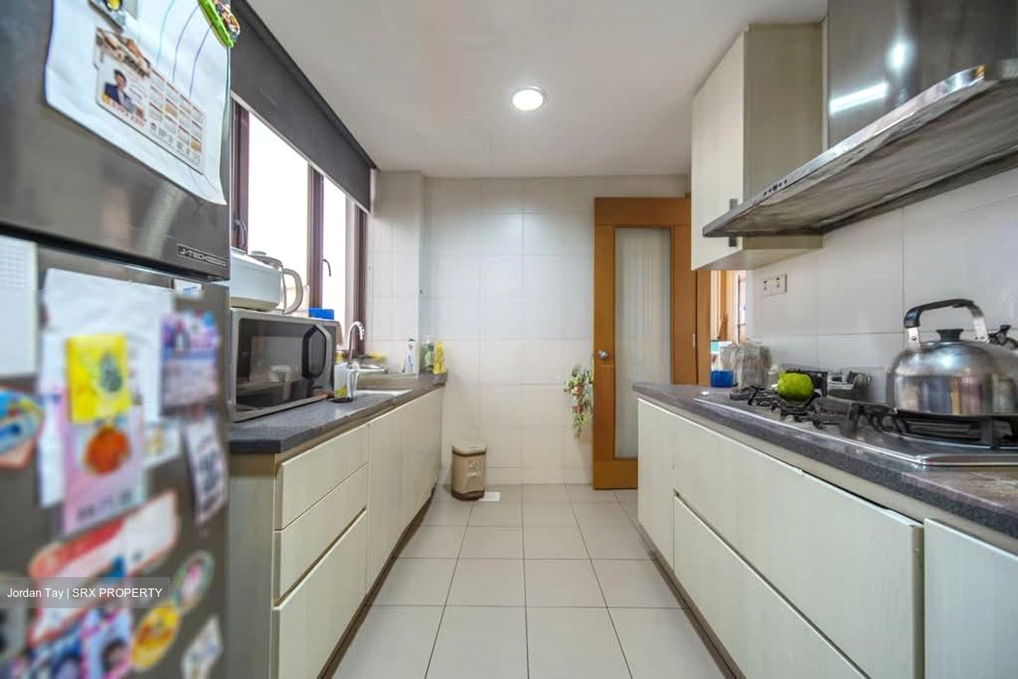 Legenda at Joo Chiat (D15), Condominium #535856731